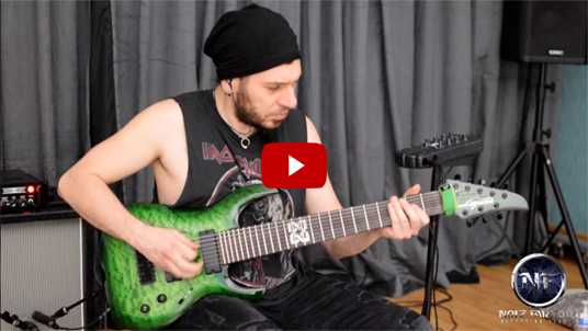 Demetrio 'Dimitry' Scopelliti: Guitar Playthrough - SL8, first song from the album 'The Art of Complications'